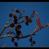 20071117_105